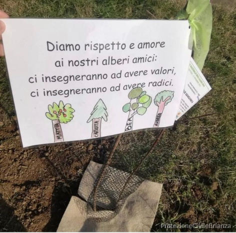 Immagine 5