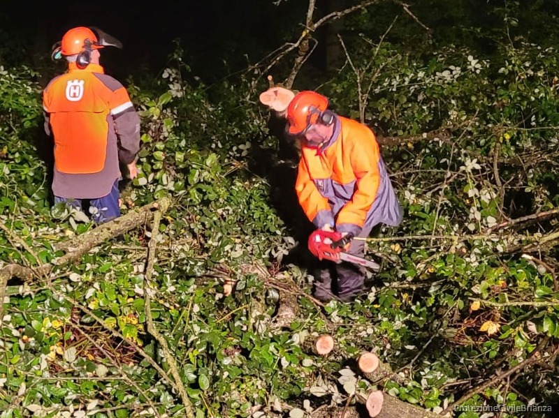 Siamo intervenuti su