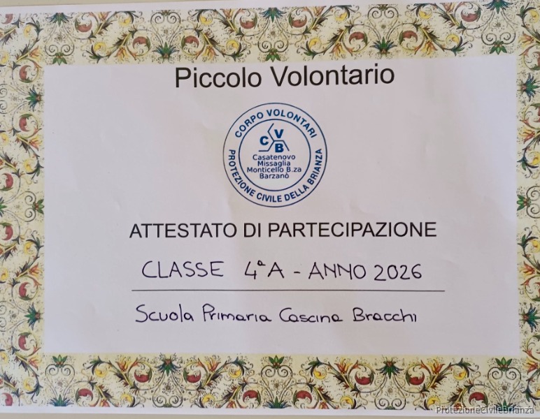 Immagine 5